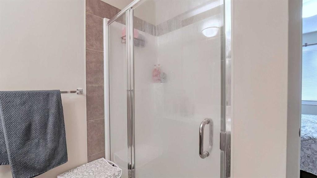 54 New Brighton Point Se, Calgary, AB - Indoor Photo Showing Bathroom