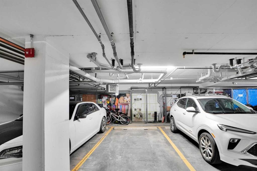 111-25 Walgrove Walk Se, Calgary, AB - Indoor Photo Showing Garage
