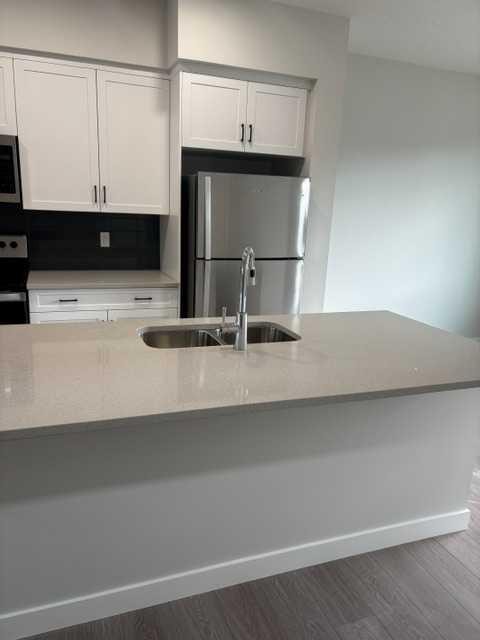619 Savanna Crescent Ne, Calgary, AB - Indoor Photo Showing Kitchen With Stainless Steel Kitchen With Double Sink