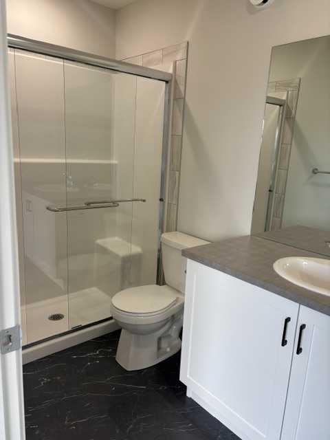 619 Savanna Crescent Ne, Calgary, AB - Indoor Photo Showing Bathroom