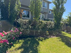93 Williamstown Green NWAirdrie, AB T4B 0S9