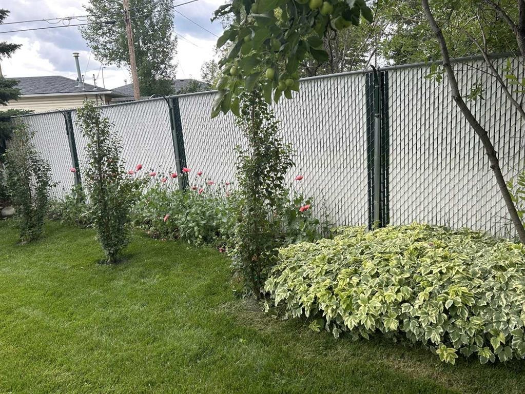 8303 Bowglen Road Nw, Calgary, AB - Outdoor