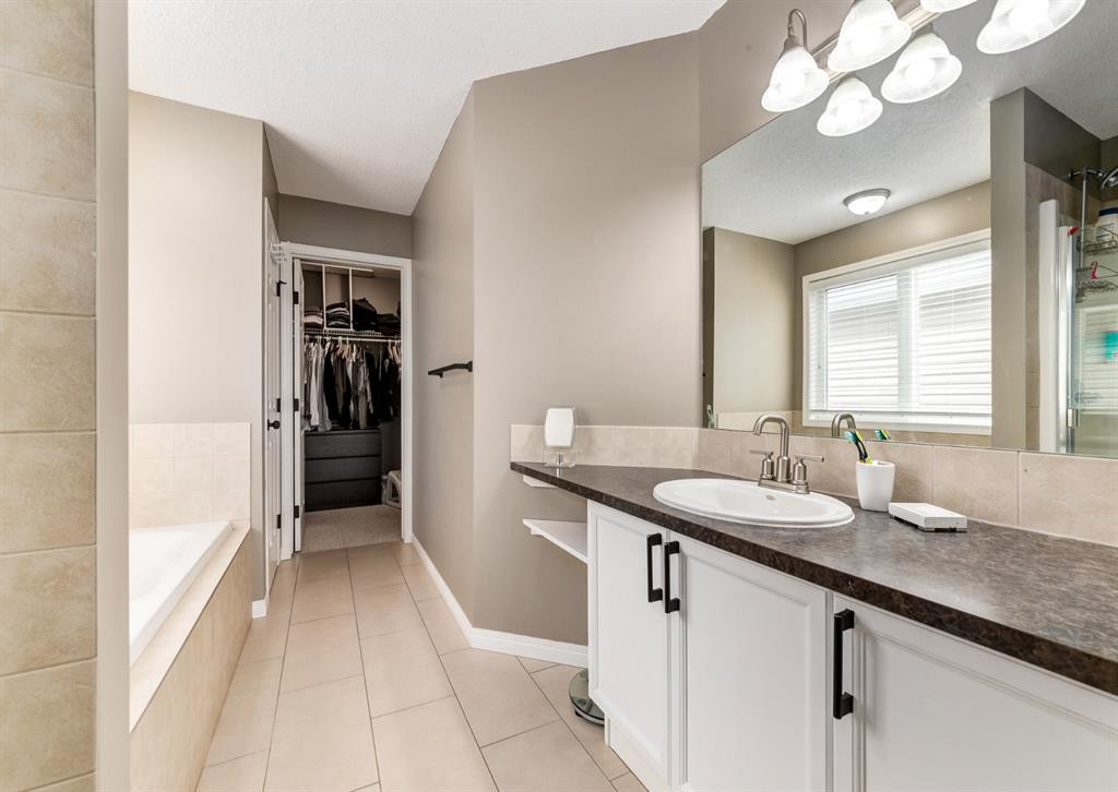 124 Copperfield Green Se, Calgary, AB - Indoor Photo Showing Bathroom