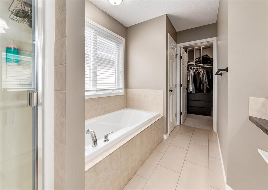 124 Copperfield Green Se, Calgary, AB - Indoor Photo Showing Bathroom