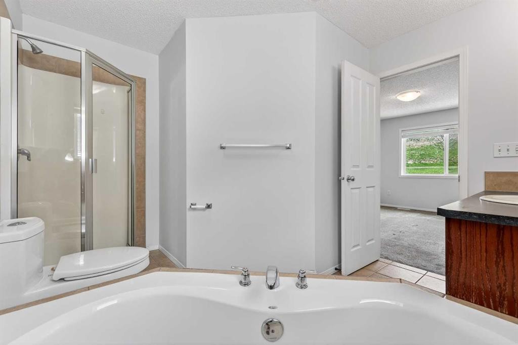 53 Royal Birch Way Nw, Calgary, AB - Indoor Photo Showing Bathroom