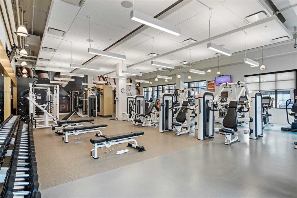 401-24 Mahogany Path Se, Calgary, AB - Indoor Photo Showing Gym Room