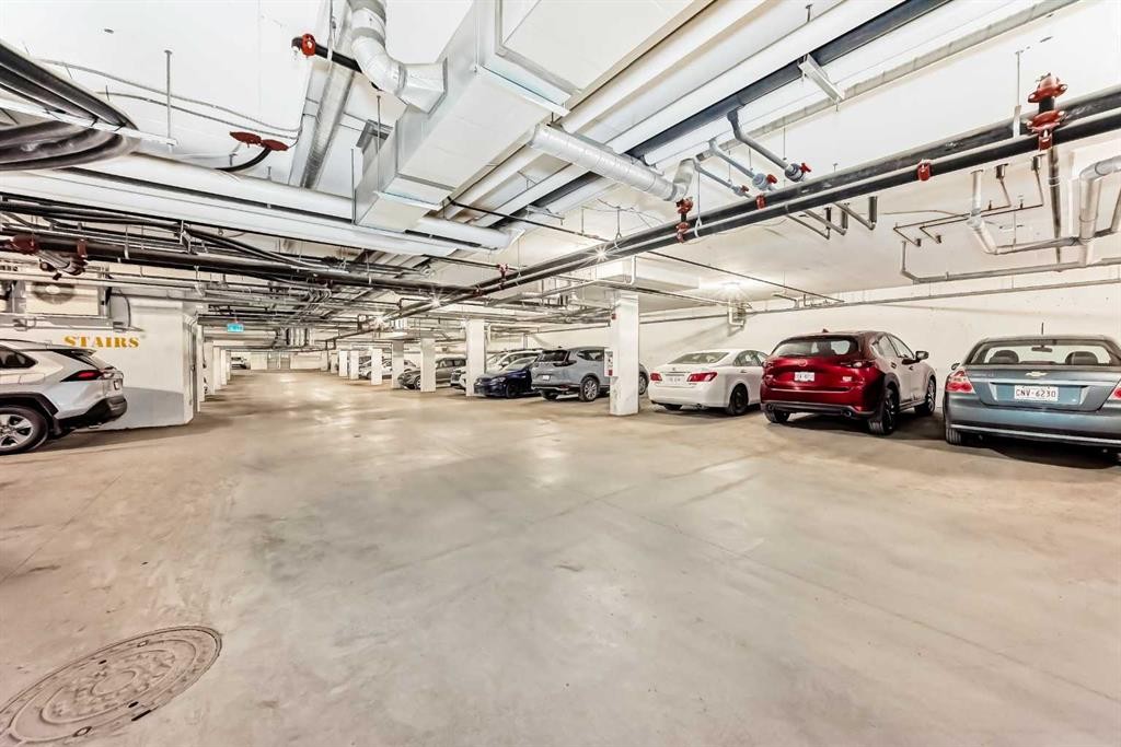 1304-33 Carringham Gate Nw, Calgary, AB - Indoor Photo Showing Garage