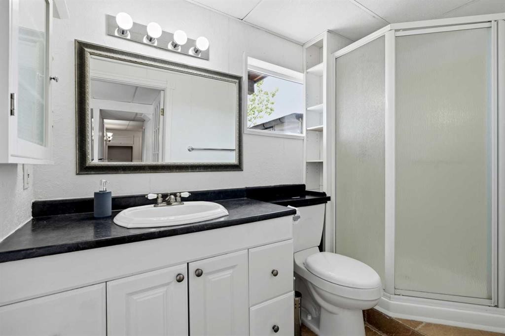 249 Citadel Point Nw, Calgary, AB - Indoor Photo Showing Bathroom