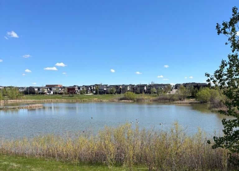 89 Evansdale Landing Nw, Calgary, AB - Outdoor With Body Of Water With View