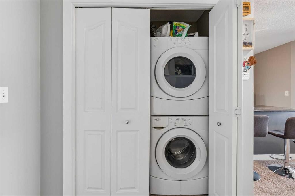 305-355 Taralake Way Ne, Calgary, AB - Indoor Photo Showing Laundry Room