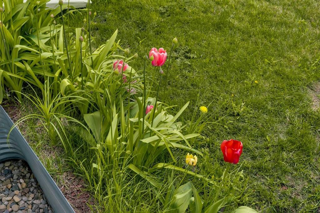 245 Auburn Crest Way Se, Calgary, AB - Outdoor