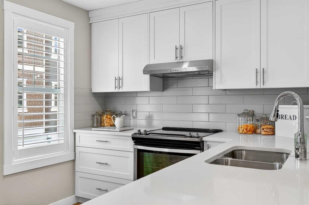 814 Cranbrook Walk Se, Calgary, AB - Indoor Photo Showing Kitchen With Double Sink With Upgraded Kitchen