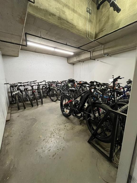 4107-24 Hemlock Crescent Sw, Calgary, AB - Indoor Photo Showing Garage