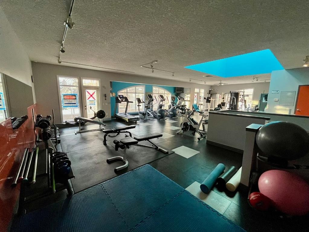 4107-24 Hemlock Crescent Sw, Calgary, AB - Indoor Photo Showing Gym Room