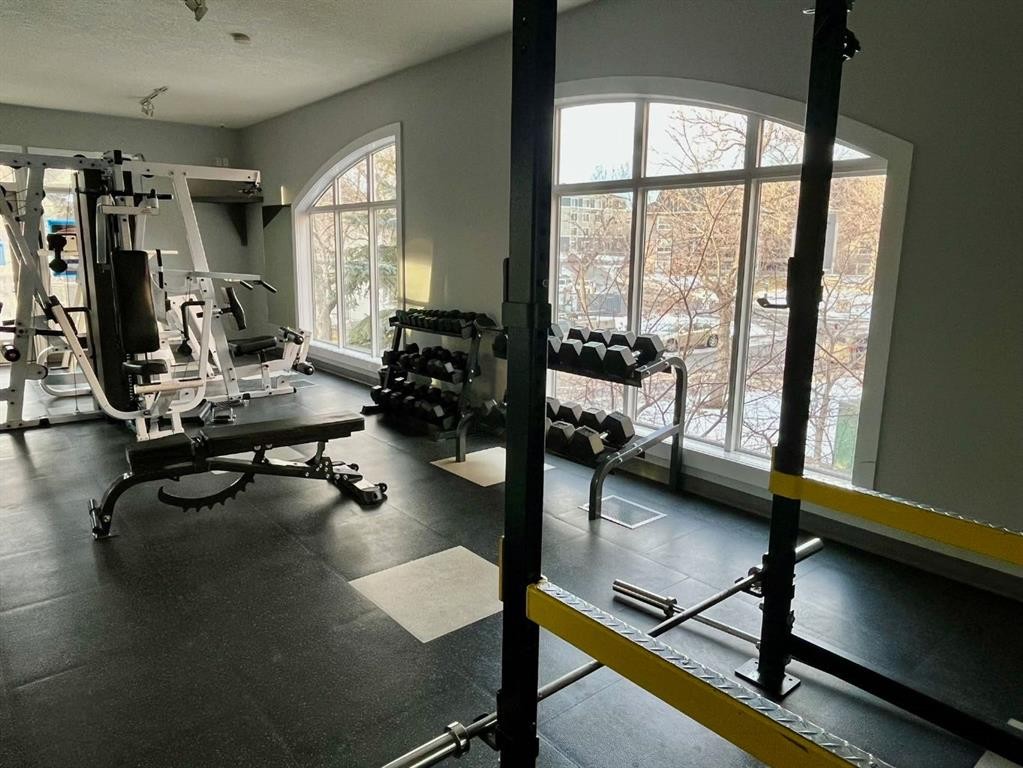 4107-24 Hemlock Crescent Sw, Calgary, AB - Indoor Photo Showing Gym Room