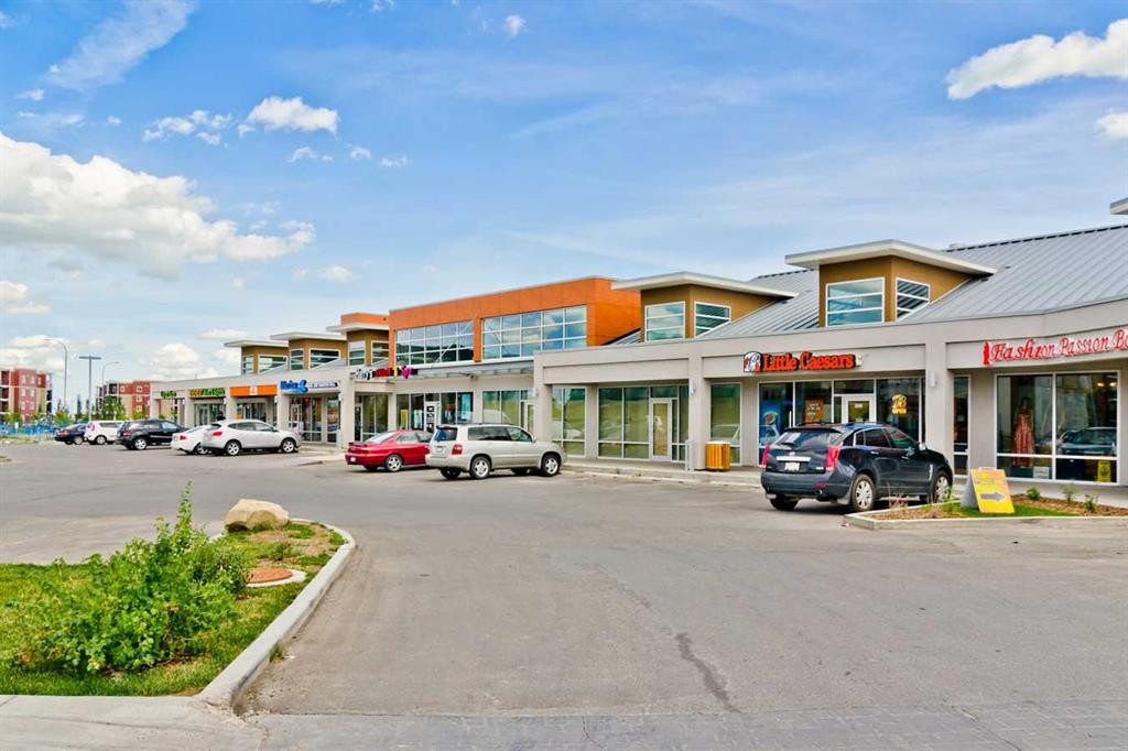 133 Saddlecrest Green Ne, Calgary, AB - Outdoor