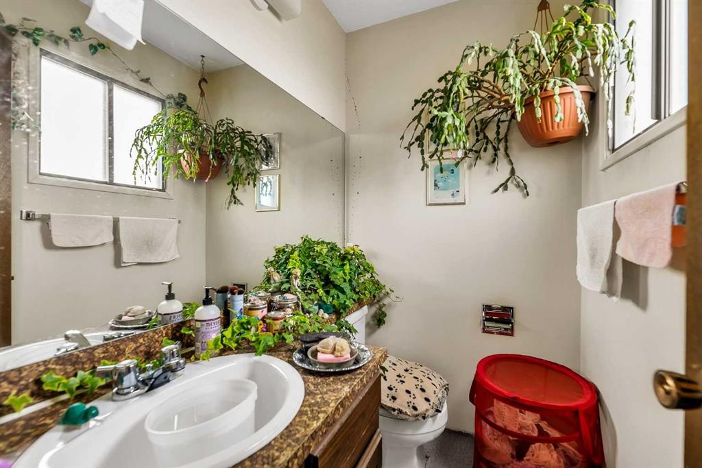 317 Templemont Place Ne, Calgary, AB - Indoor Photo Showing Bathroom