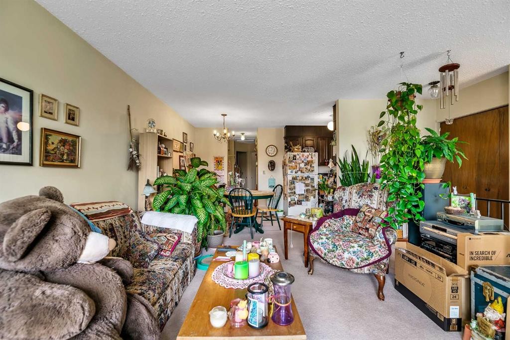 317 Templemont Place Ne, Calgary, AB - Indoor Photo Showing Living Room