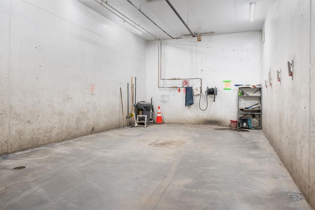 206-30 Cranfield Link Se, Calgary, AB - Indoor Photo Showing Garage