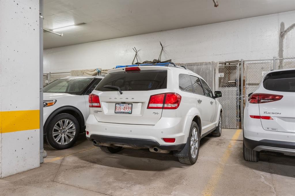 206-30 Cranfield Link Se, Calgary, AB - Indoor Photo Showing Garage