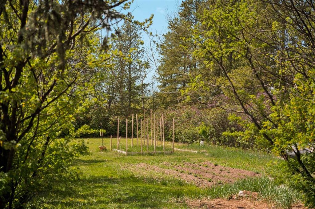 261074 Township Road 262, Rural Rocky View County, AB - Outdoor