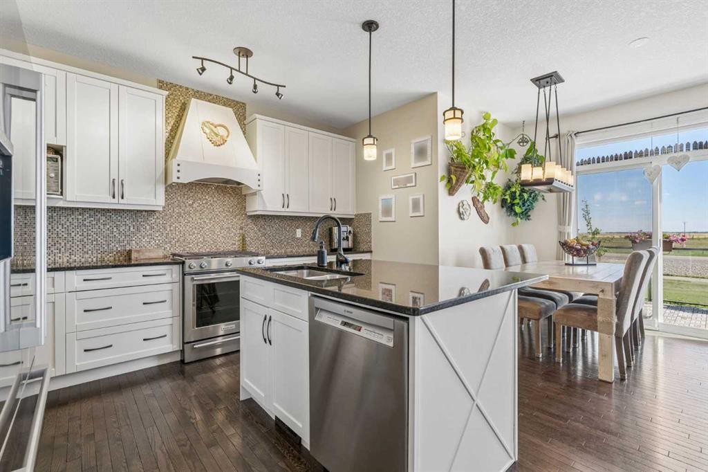 280 Rainbow Falls Way, Chestermere, AB - Indoor Photo Showing Kitchen With Upgraded Kitchen