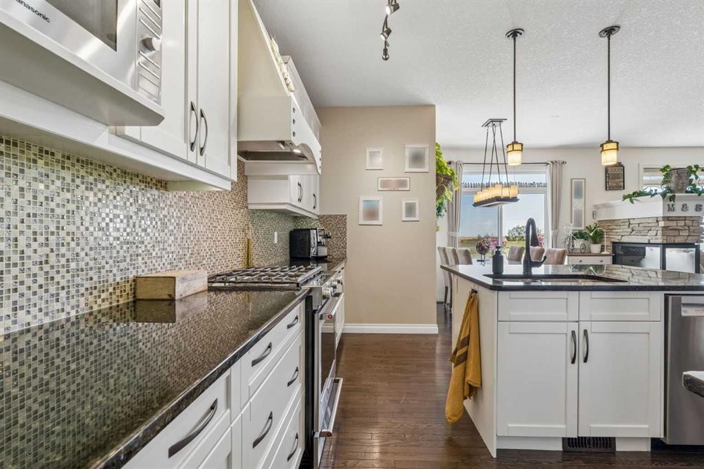280 Rainbow Falls Way, Chestermere, AB - Indoor Photo Showing Kitchen With Upgraded Kitchen