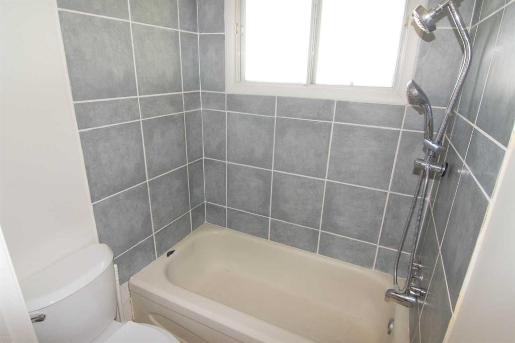 340 Templeton Circle Ne, Calgary, AB - Indoor Photo Showing Bathroom