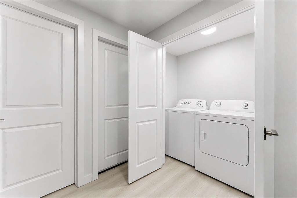 96 Red Embers Crescent Ne, Calgary, AB - Indoor Photo Showing Laundry Room
