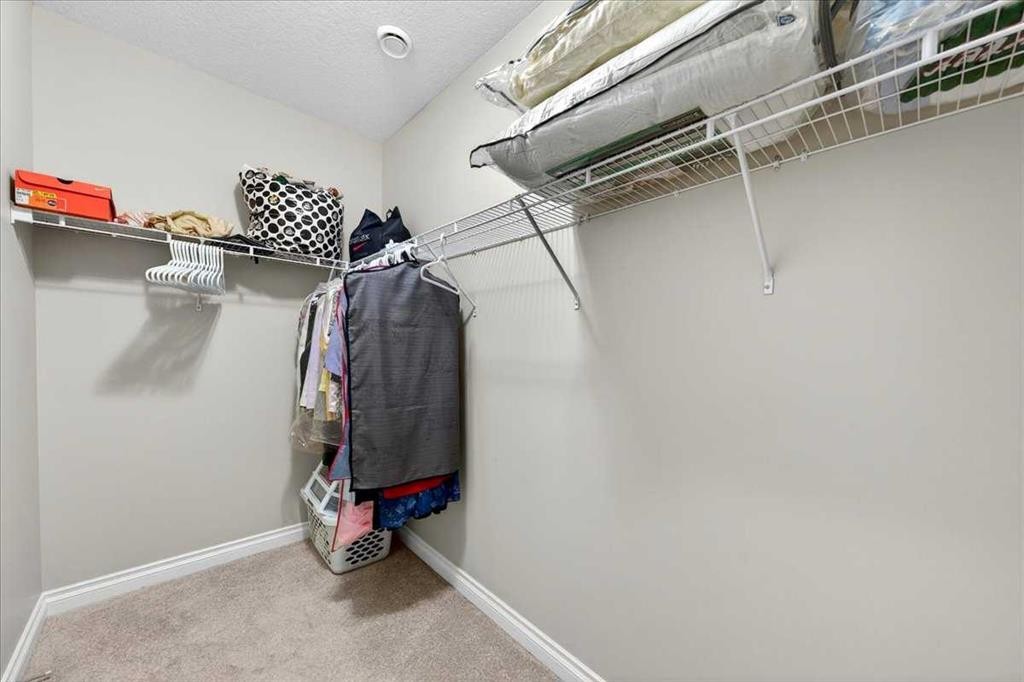 248 Rainbow Falls Way, Chestermere, AB - Indoor With Storage