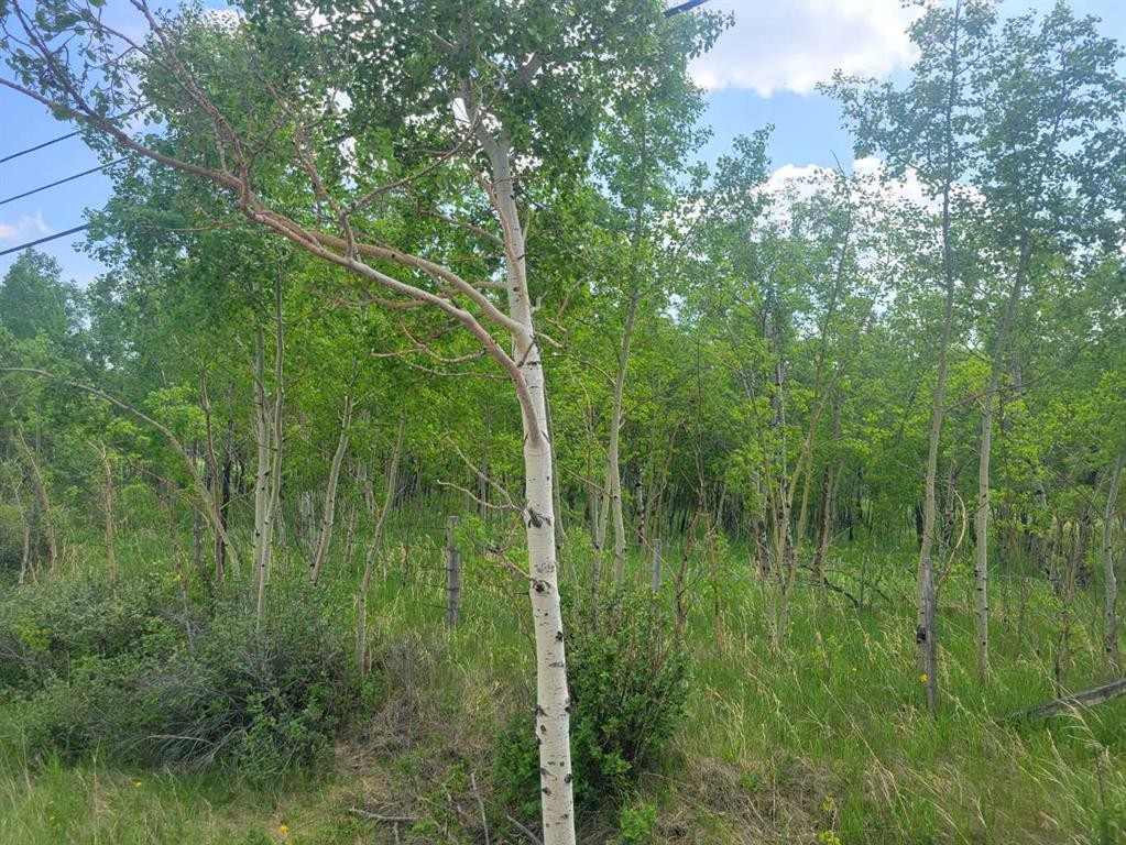 24166 Old Banff Coach Road, Rural Rocky View County, AB
