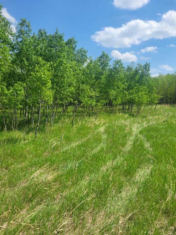 24166 Old Banff Coach Road, Rural Rocky View County, AB