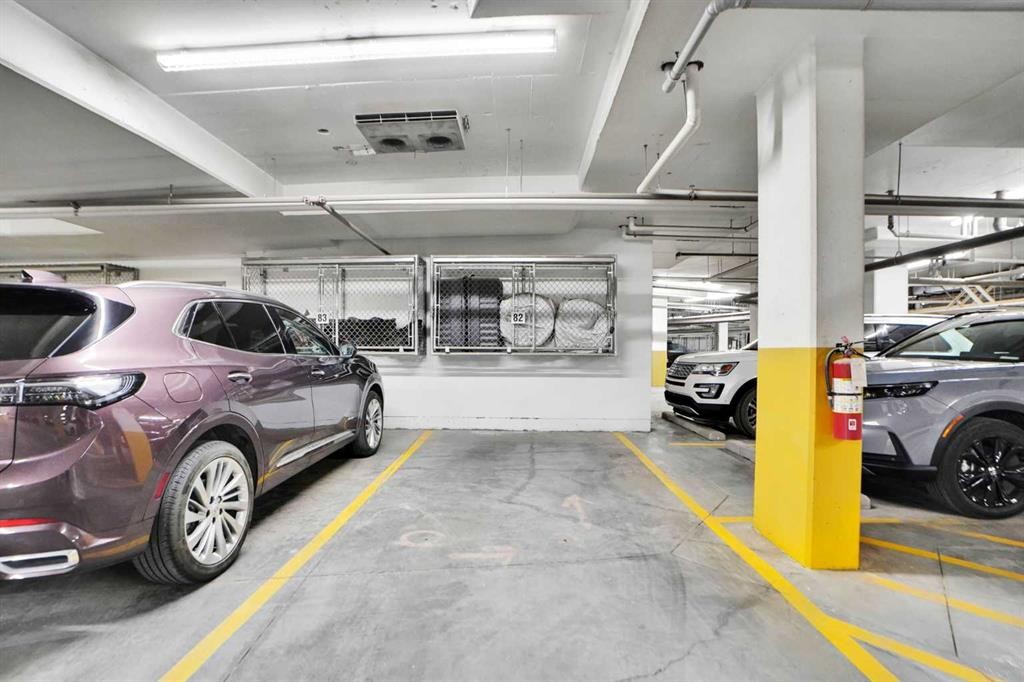 105-55 Wolf Hollow Crescent Se, Calgary, AB - Indoor Photo Showing Garage