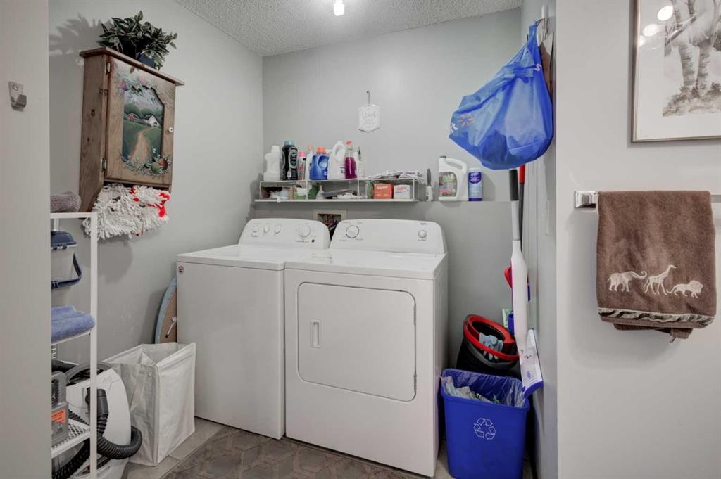 67 Deersaxon Circle Se, Calgary, AB - Indoor Photo Showing Laundry Room