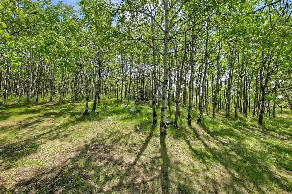 75 Anatapi Lane Sw, Calgary, AB