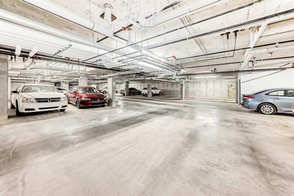 2406-15 Skyview Point Crescent, Calgary, AB - Indoor Photo Showing Garage