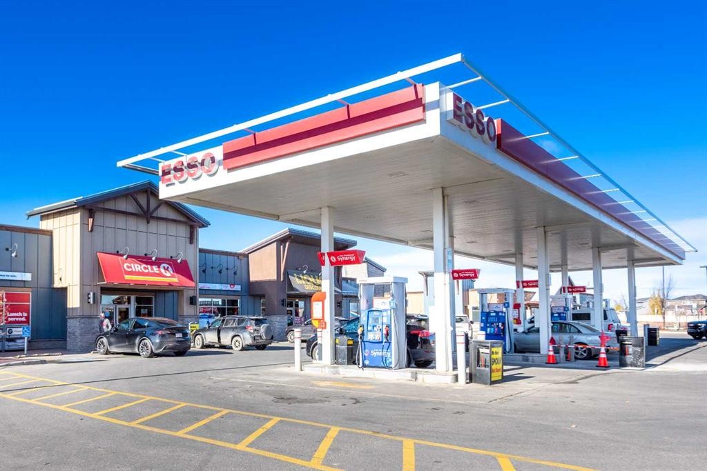 140 Cascades Pass, Chestermere, AB - Outdoor