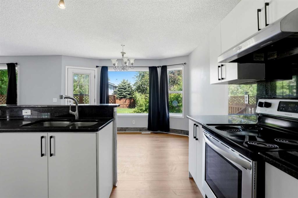 141 Shannon Square Sw, Calgary, AB - Indoor Photo Showing Kitchen With Double Sink