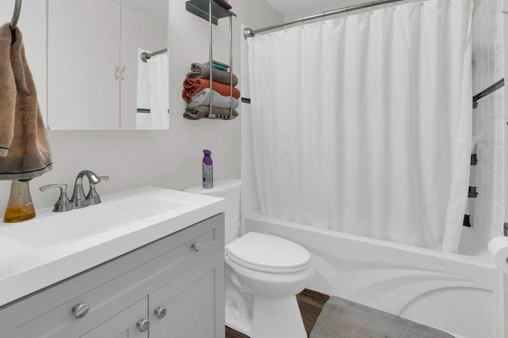 120 Alpine Crescent Se, Airdrie, AB - Indoor Photo Showing Bathroom