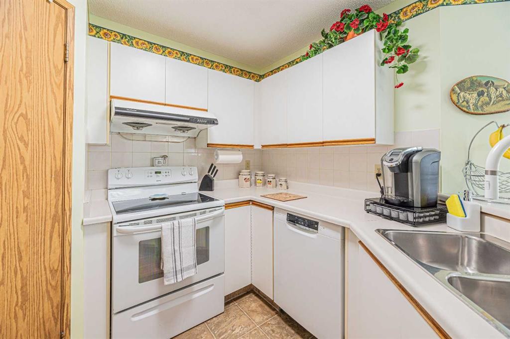 259 Carmel Close Ne, Calgary, AB - Indoor Photo Showing Kitchen With Double Sink