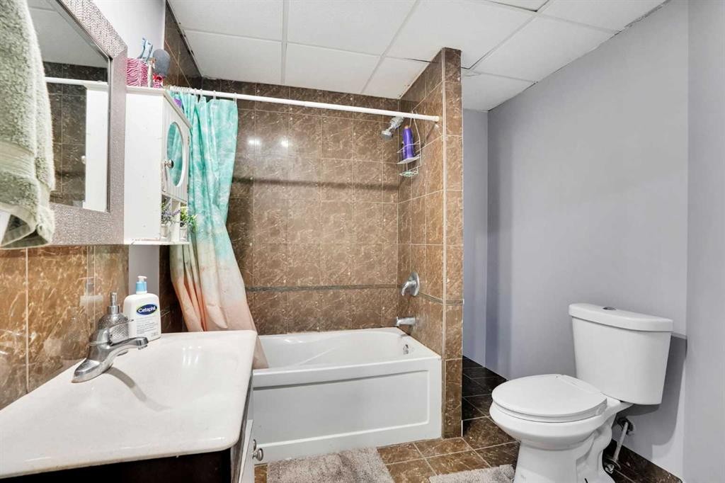 133 Martinglen Way Ne, Calgary, AB - Indoor Photo Showing Bathroom
