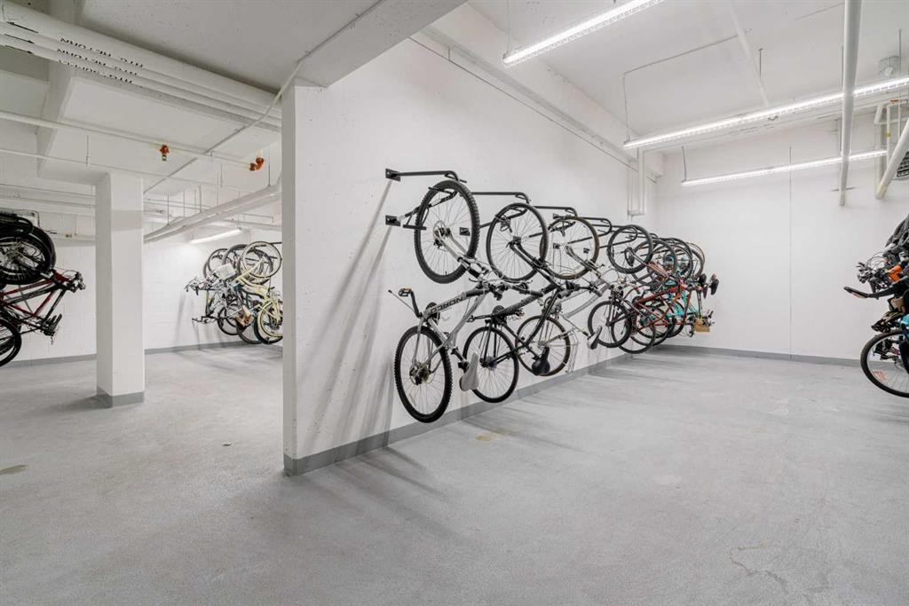 717-8505 Broadcast Avenue Sw, Calgary, AB - Indoor Photo Showing Garage