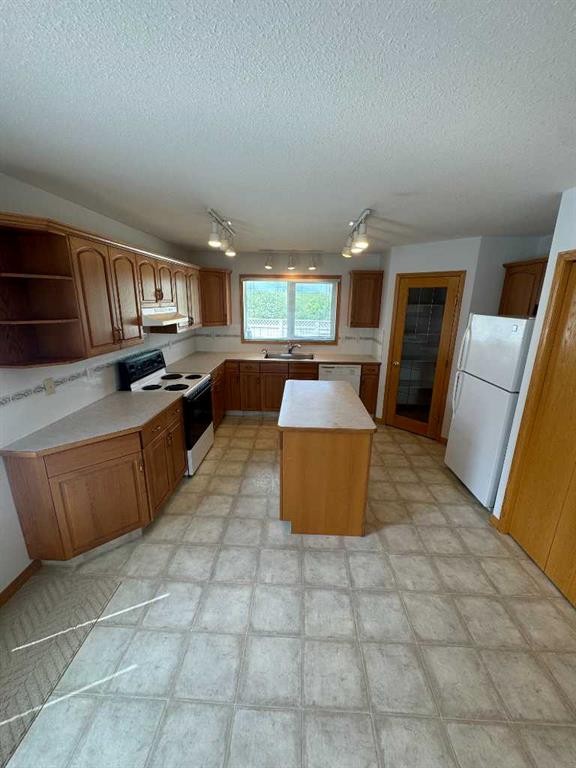 22 Julia Place, Didsbury, AB - Indoor Photo Showing Kitchen