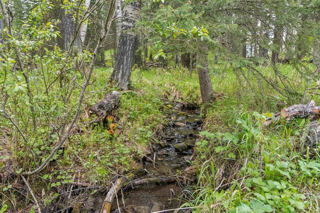 231028 Forestry Way, Rural Rocky View County, AB