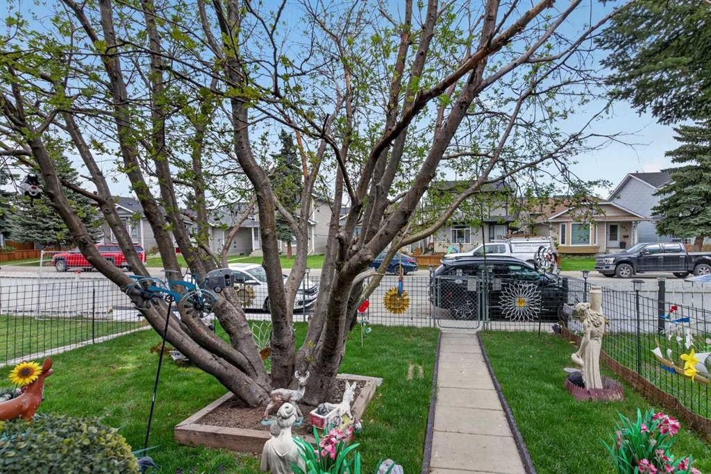 147 Martindale Drive Ne, Calgary, AB - Outdoor