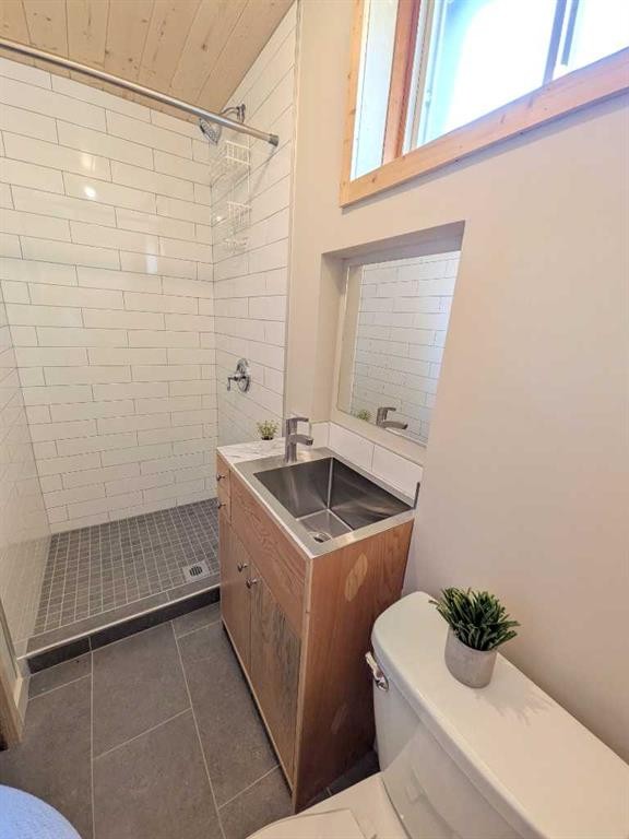 223 Allison Street, Acme, AB - Indoor Photo Showing Bathroom