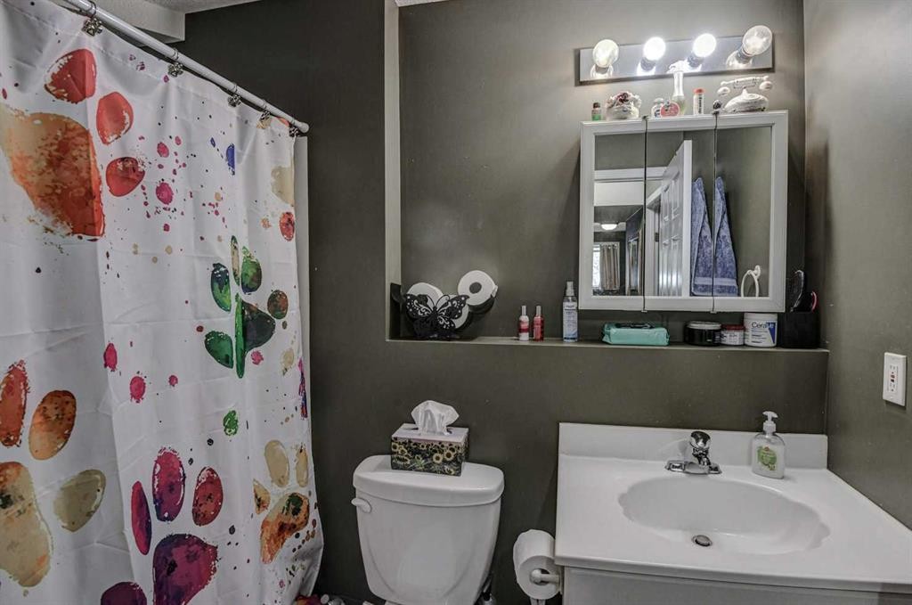 1625 15A Street, Didsbury, AB - Indoor Photo Showing Bathroom