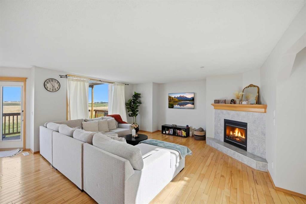 101 Coville Crescent Ne, Calgary, AB - Indoor Photo Showing Living Room With Fireplace