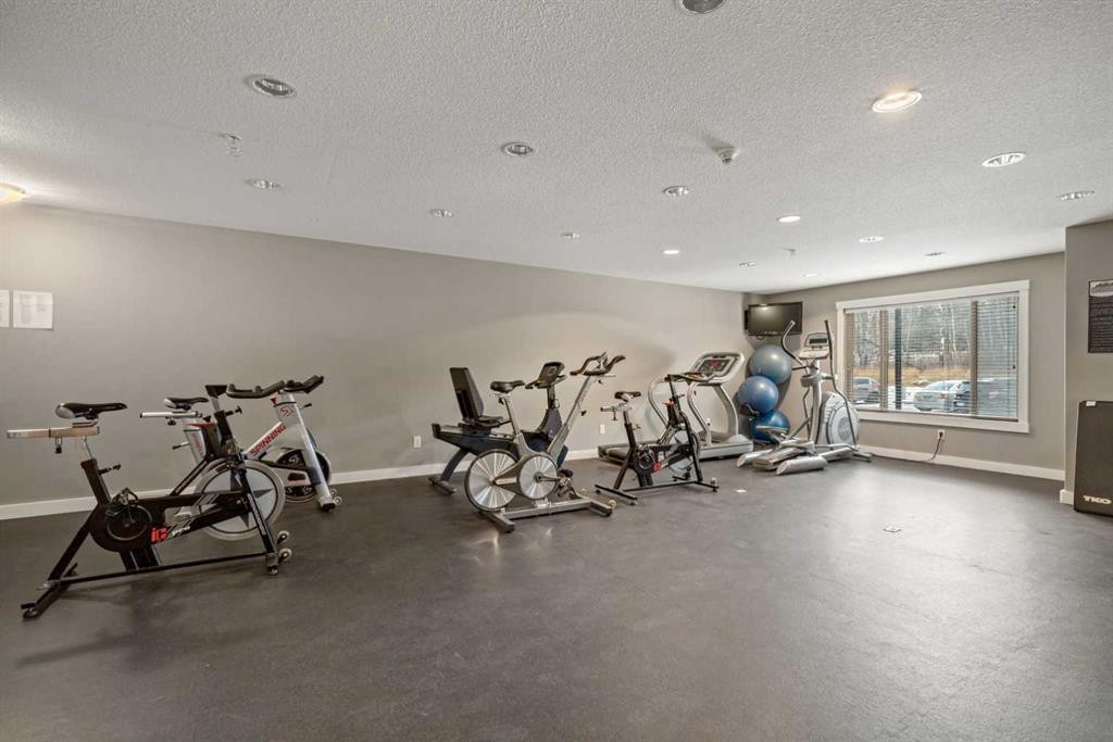 111-300 Palliser, Canmore, AB - Indoor Photo Showing Gym Room