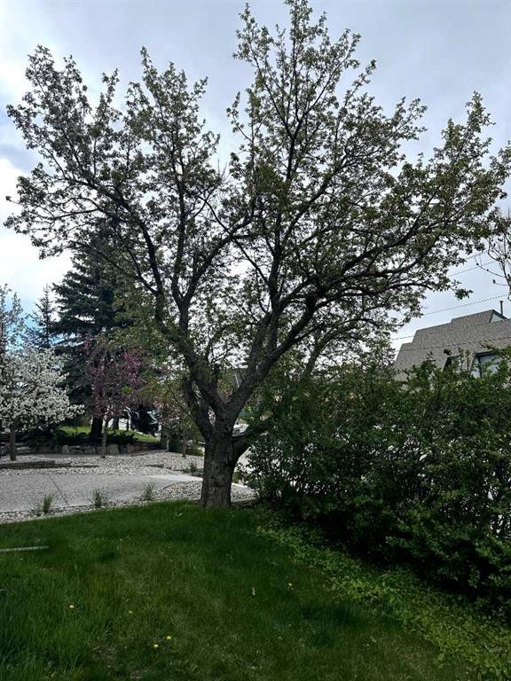 4538 Montgomery Avenue Nw, Calgary, AB